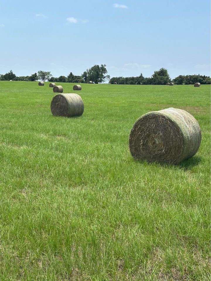 Seasonal Hay Management Tips for Texas Ranchers